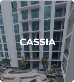 Cassia